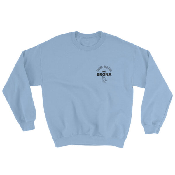 Thank God For The Bronx