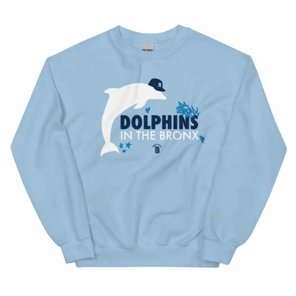 Dolphins in The Bronx